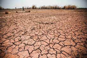 Image Example for dry land