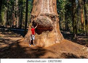 Image Example for enormous