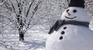 Image Example for frosty