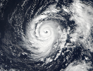 Image Example for storm