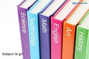 Image Example for subject