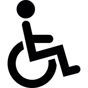 Image Example for disable