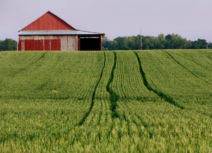 Image Example for farm