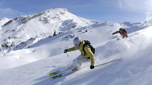 Image Example for skiing