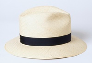 Image Example for hat