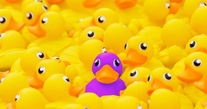 Image Example for unique