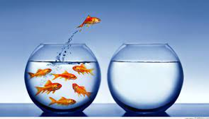 Image Example for changed