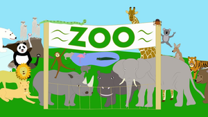 Image Example for zoo