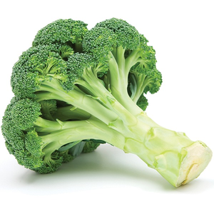 Image Example for broccoli