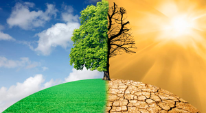 Image Example for climate change