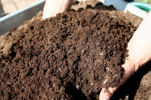 Image Example for compost