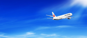 Image Example for flight