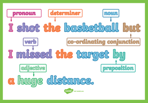 Image Example for sentence