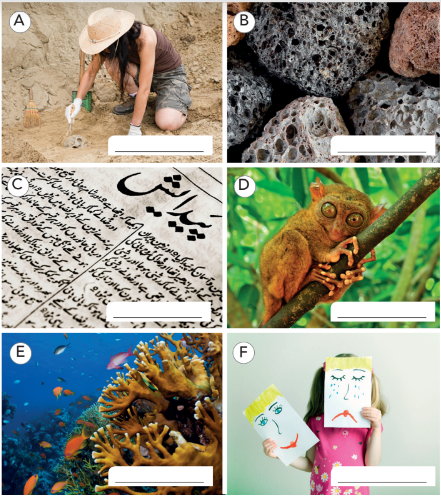 Tiếng Anh 10 Unit 2 2.3 Listening 0 1