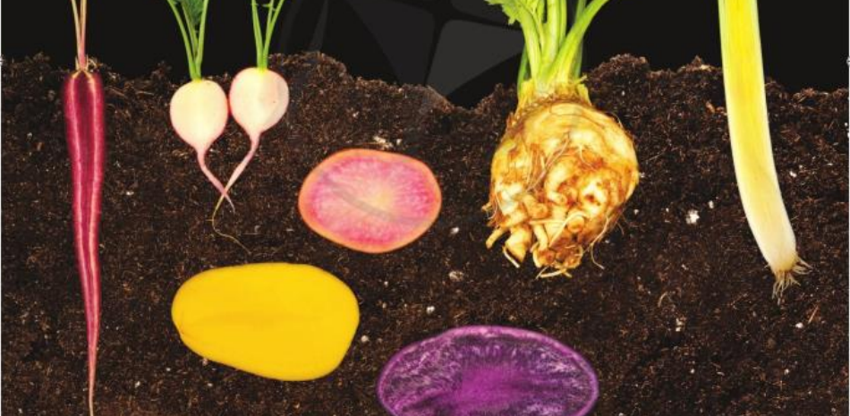 Tiếng Anh 10 Unit 4 4A 0 1