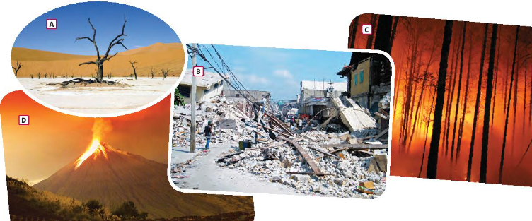 Tiếng Anh 10 Unit 4 4C. Listening 2 1