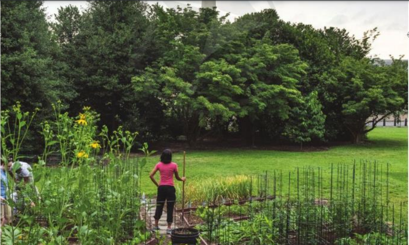 Tiếng Anh 10 Unit 4 4D 0 1