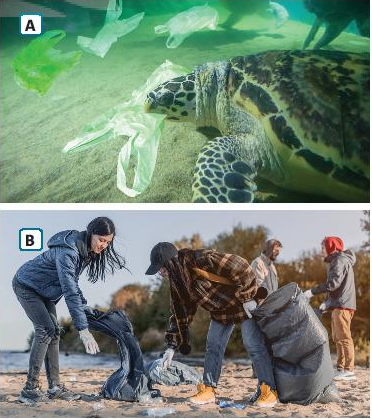 Tiếng Anh 10 Unit 4 Review Unit 4 2 1