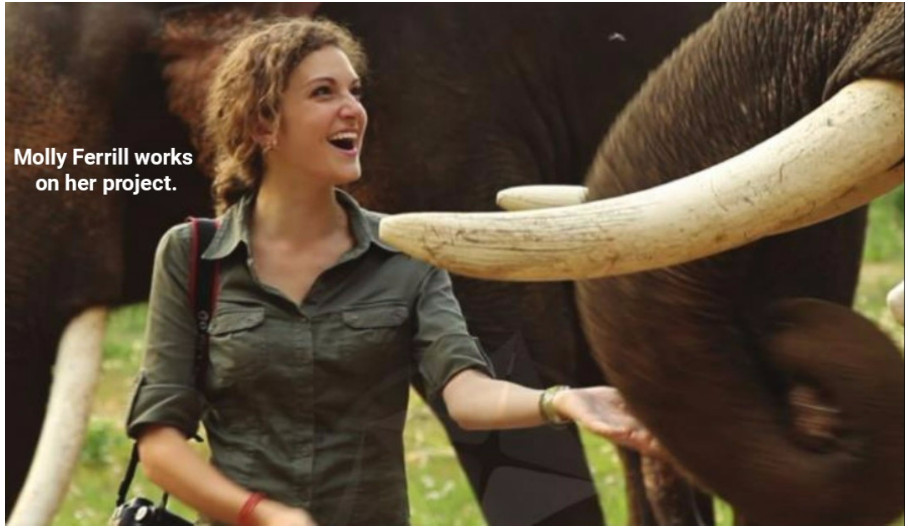 Tiếng Anh 10 Unit 8 8B 0 1