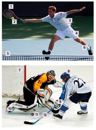 Tiếng Anh 10 Vocabulary Builder - Unit 2 0 1