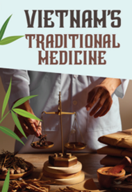 Tiếng Anh 11 Bright D Culture Corner 0 1