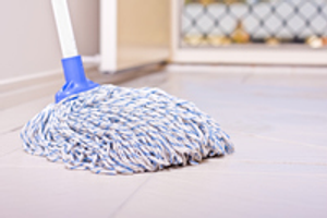 Image Example for mop