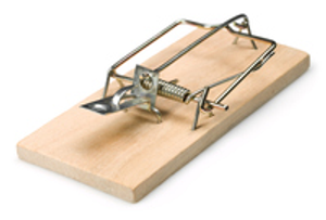 Image Example for trap