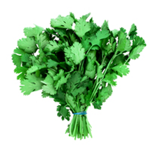 Image Example for coriander