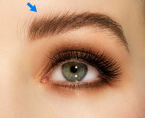 Image Example for eyebrow