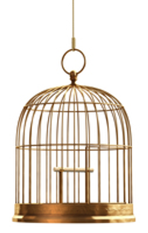 Image Example for cage