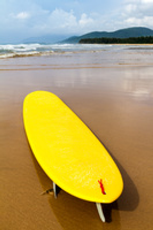 Image Example for surfboard