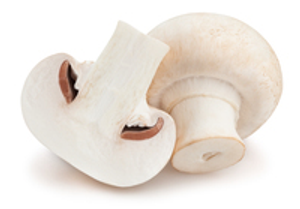 Image Example for mushroom