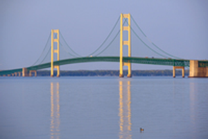 Image Example for suspension bridge