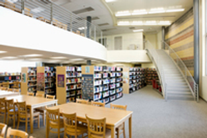 Image Example for library