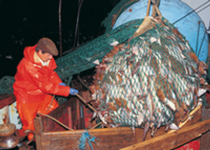 Image Example for fishermen