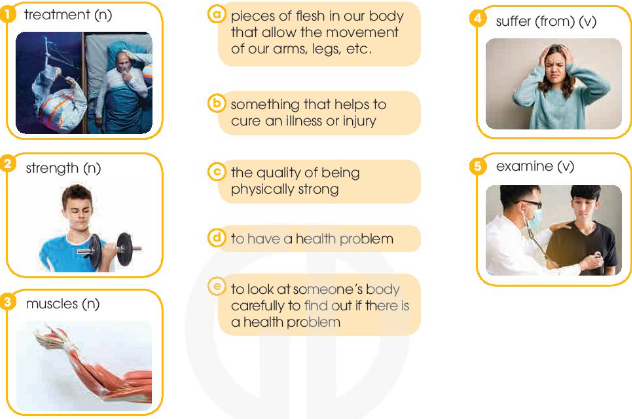 Tiếng Anh 11 Unit 1 Language 2 1