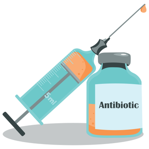 Image Example for antibiotic