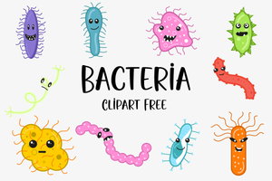 Image Example for bacteria