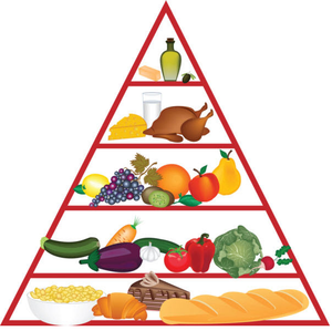 Image Example for nutrient