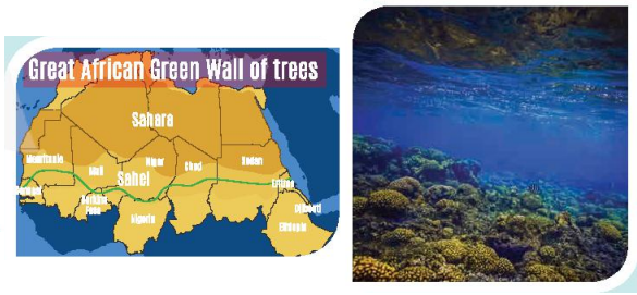 Tiếng Anh 11 Unit 10 Communication and culture/ CLIL 2 1