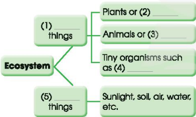 Tiếng Anh 11 Unit 10 Getting Started 2 1