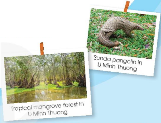 Tiếng Anh 11 Unit 10 Reading 0 1