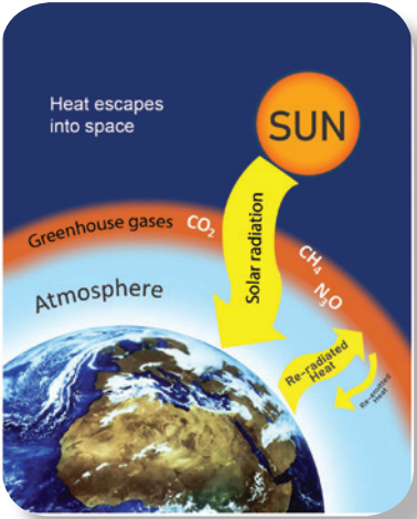 Tiếng Anh 11 Unit 2 2I. Culture 0 1