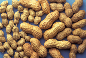 Image Example for peanut