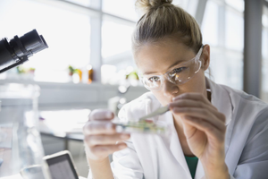 Image Example for experiment