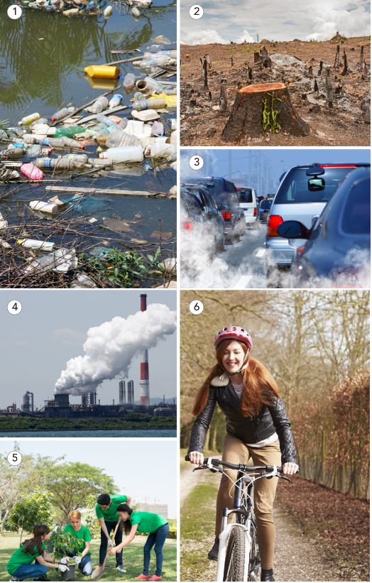 Tiếng Anh 11 Unit 3 3.1 Vocabulary 0 1