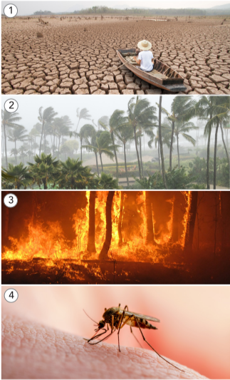 Tiếng Anh 11 Unit 3 3.3 Listening 0 1