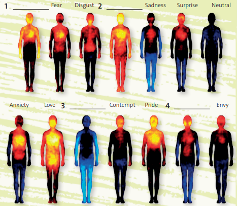 Tiếng Anh 11 Unit 3 3E. Word Skills 1 1