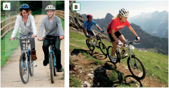 Tiếng Anh 11 Unit 3 Review 3 1