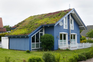 Image Example for green roof